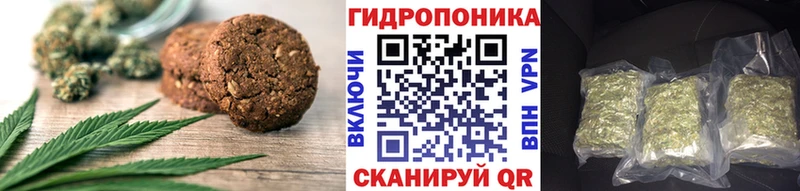 цена   Дигора  Canna-Cookies марихуана 