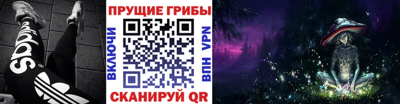 Галлюциногенные грибы Magic Shrooms  мега как войти  Дигора 