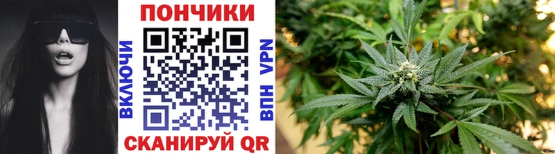 ссылка на мегу сайт  Дигора  Бошки Шишки семена 