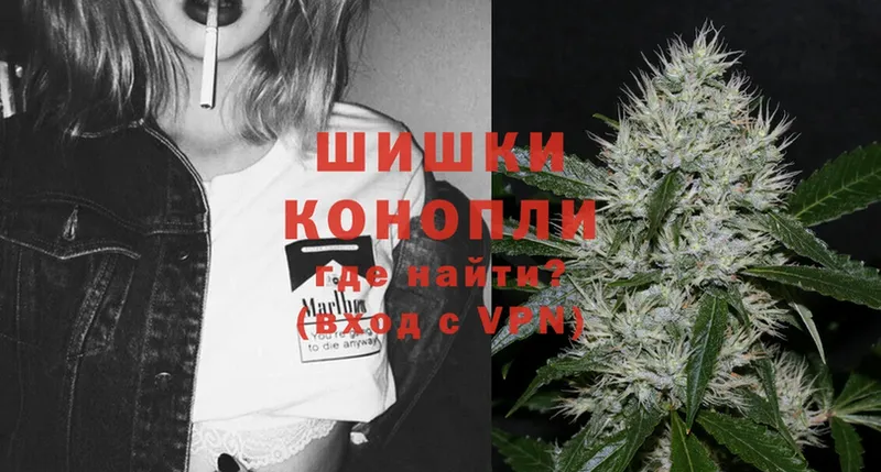 Бошки марихуана THC 21%  Дигора 